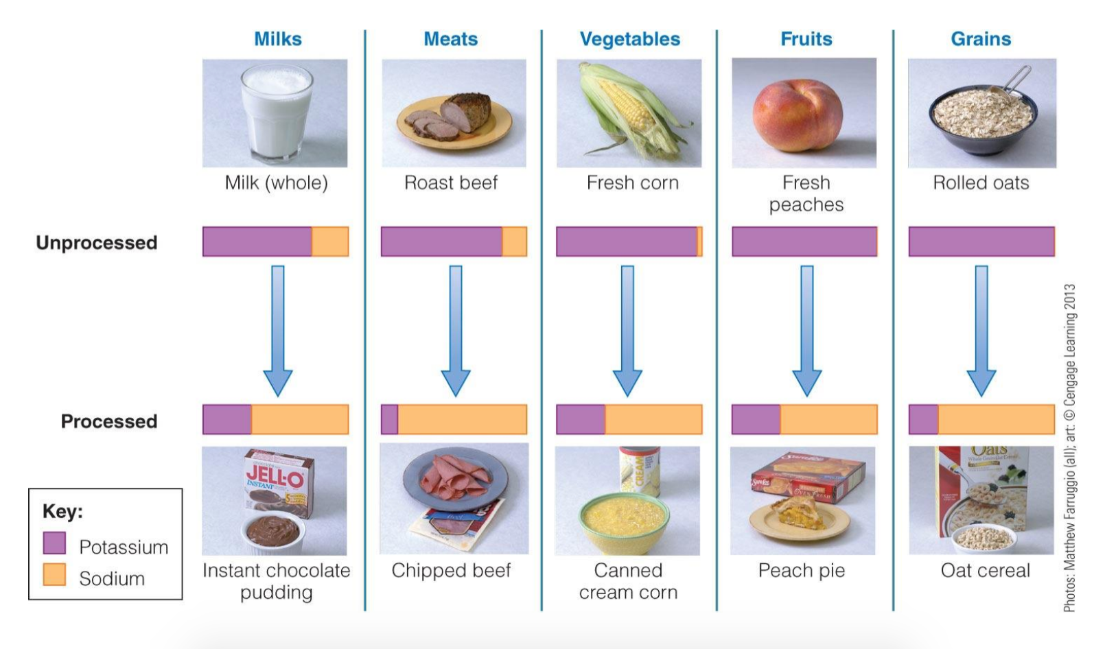 Sodium vs Potassium